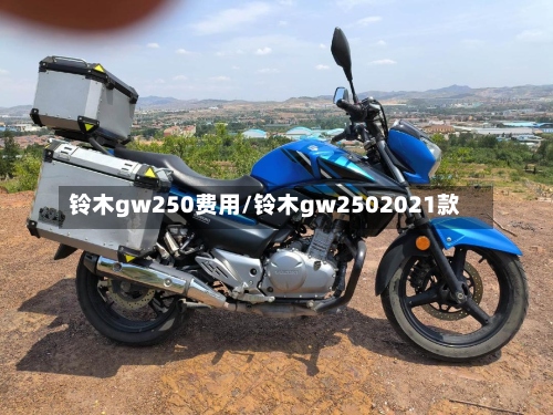 铃木gw250费用/铃木gw2502021款-第3张图片