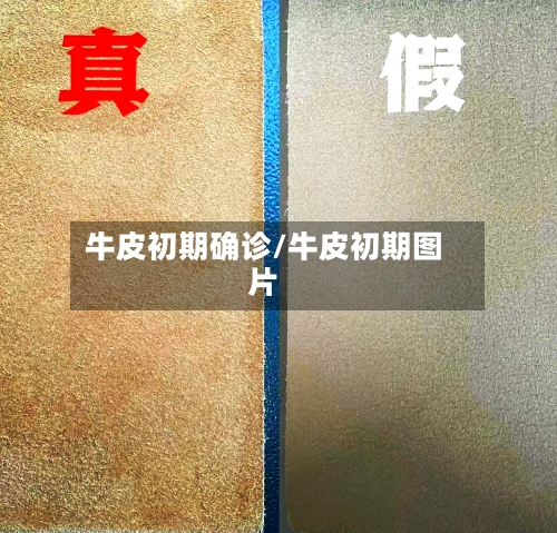牛皮初期确诊/牛皮初期图片-第2张图片