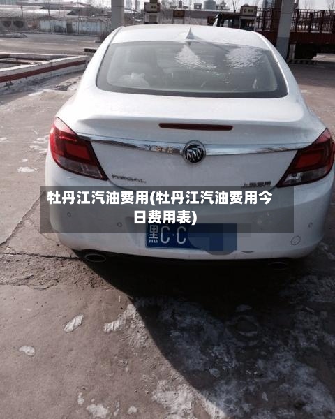 牡丹江汽油费用(牡丹江汽油费用今日费用表)