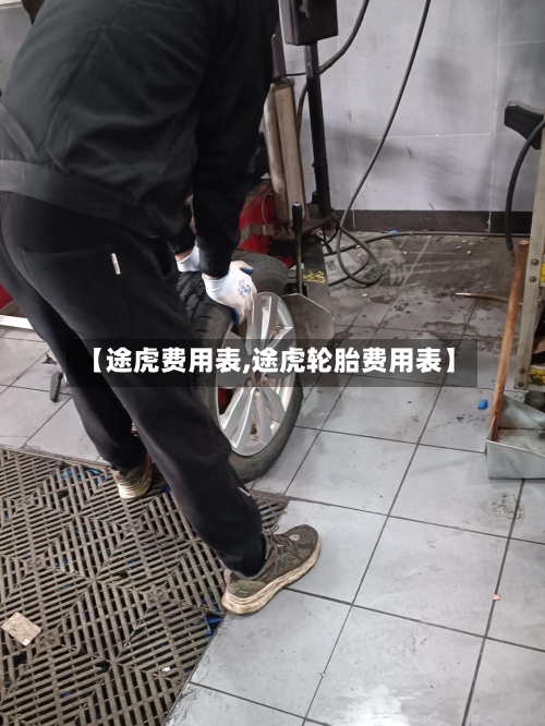 【途虎费用表,途虎轮胎费用表】-第3张图片