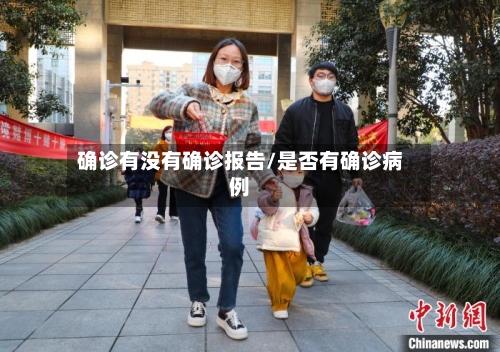 确诊有没有确诊报告/是否有确诊病例