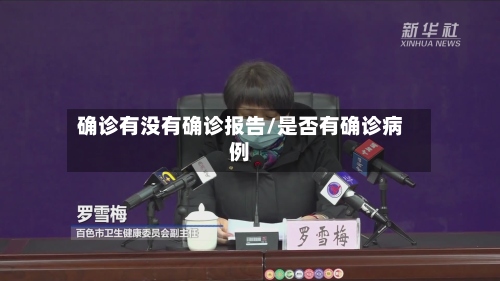 确诊有没有确诊报告/是否有确诊病例-第2张图片
