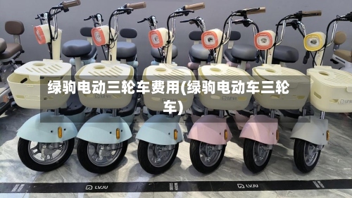 绿驹电动三轮车费用(绿驹电动车三轮车)-第2张图片