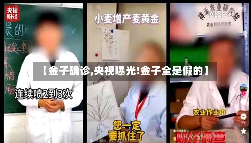 【金子确诊,央视曝光!金子全是假的】-第2张图片
