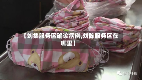 【刘集服务区确诊病例,刘陈服务区在哪里】