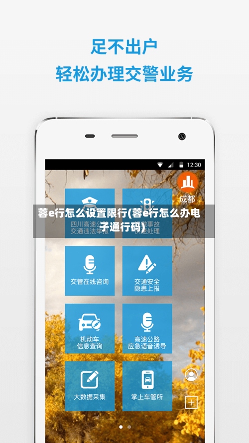 蓉e行怎么设置限行(蓉e行怎么办电子通行码)-第2张图片
