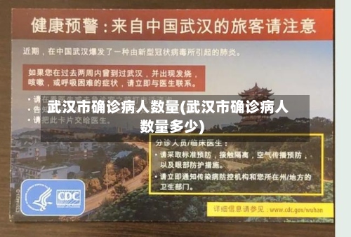 武汉市确诊病人数量(武汉市确诊病人数量多少)