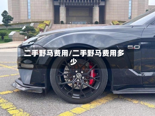 二手野马费用/二手野马费用多少-第3张图片