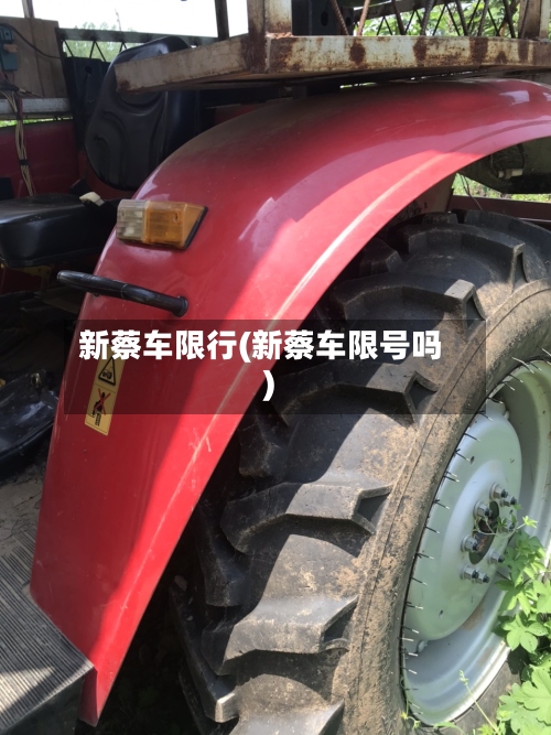 新蔡车限行(新蔡车限号吗)-第3张图片