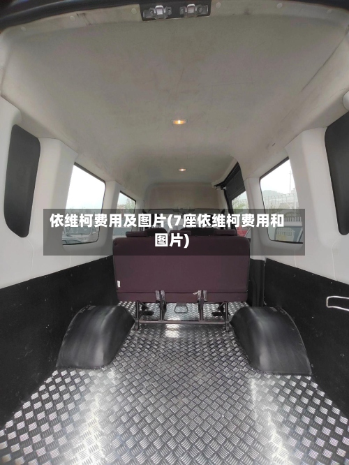 依维柯费用及图片(7座依维柯费用和图片)-第2张图片