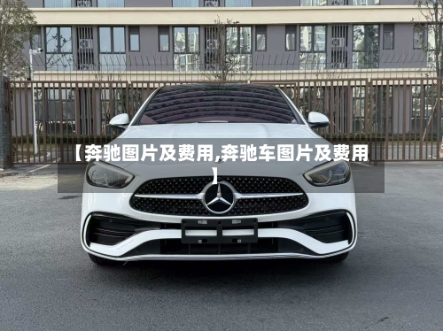 【奔驰图片及费用,奔驰车图片及费用】-第2张图片