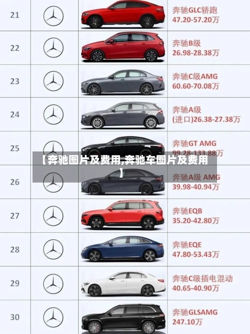 【奔驰图片及费用,奔驰车图片及费用】-第3张图片