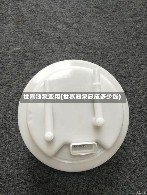 世嘉油泵费用(世嘉油泵总成多少钱)-第2张图片