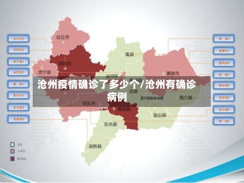 沧州疫情确诊了多少个/沧州有确诊病例-第2张图片