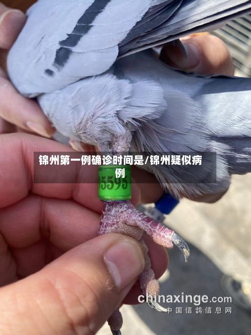 锦州第一例确诊时间是/锦州疑似病例-第3张图片
