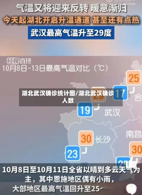 湖北武汉确诊统计图/湖北武汉确诊人数-第2张图片