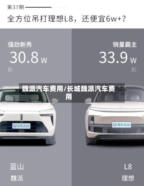 魏派汽车费用/长城魏派汽车费用-第2张图片