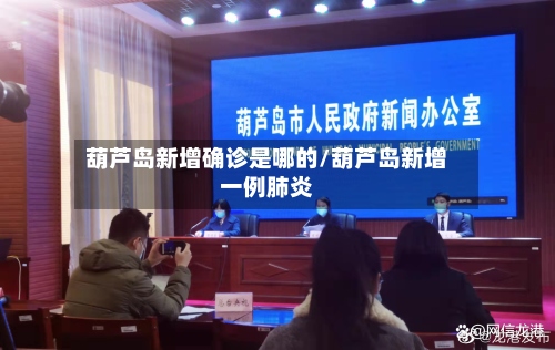 葫芦岛新增确诊是哪的/葫芦岛新增一例肺炎-第2张图片