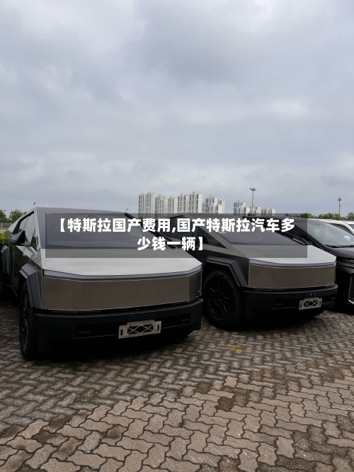 【特斯拉国产费用,国产特斯拉汽车多少钱一辆】-第2张图片