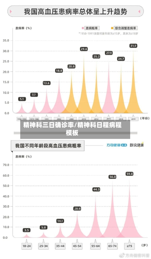 精神科三日确诊率/精神科日程病程模板