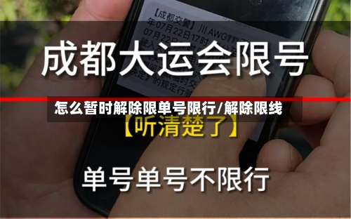 怎么暂时解除限单号限行/解除限线-第2张图片