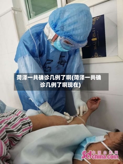 菏泽一共确诊几例了啊(菏泽一共确诊几例了啊现在)-第3张图片