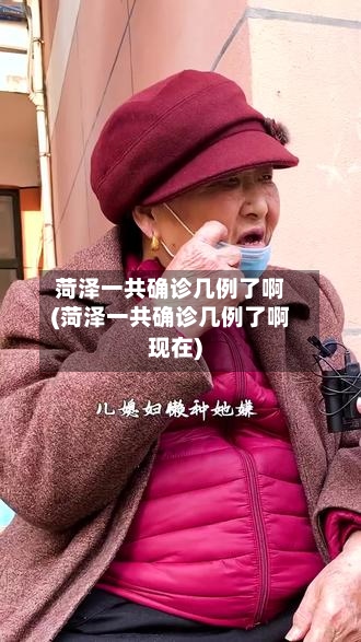 菏泽一共确诊几例了啊(菏泽一共确诊几例了啊现在)