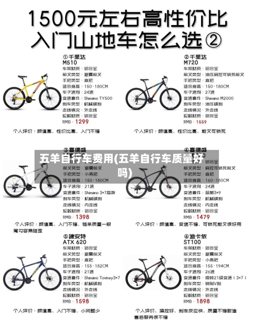 五羊自行车费用(五羊自行车质量好吗)-第3张图片