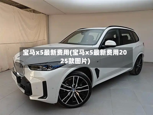 宝马x5最新费用(宝马x5最新费用2025款图片)-第2张图片