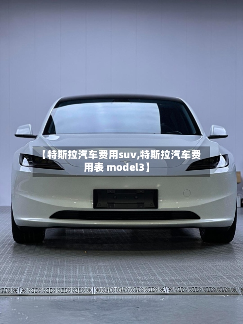 【特斯拉汽车费用suv,特斯拉汽车费用表 model3】