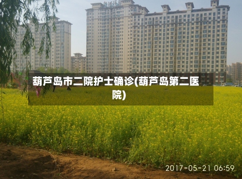葫芦岛市二院护士确诊(葫芦岛第二医院)