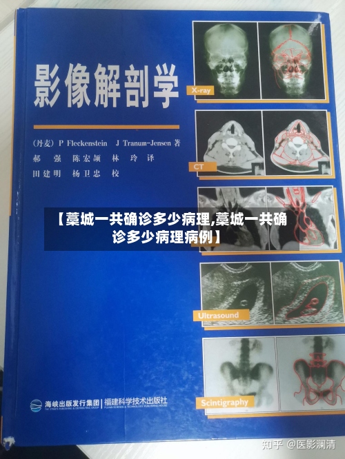【藁城一共确诊多少病理,藁城一共确诊多少病理病例】-第2张图片