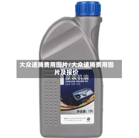 大众速腾费用图片/大众速腾费用图片及报价-第2张图片