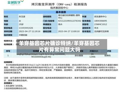 羊穿基因芯片确诊特纳/羊穿基因芯片有异常问题大吗-第2张图片