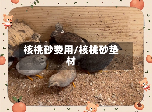 核桃砂费用/核桃砂垫材