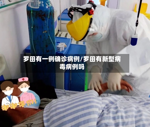 罗田有一例确诊病例/罗田有新型病毒病例吗-第2张图片