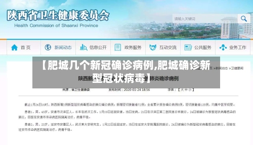 【肥城几个新冠确诊病例,肥城确诊新型冠状病毒】-第2张图片