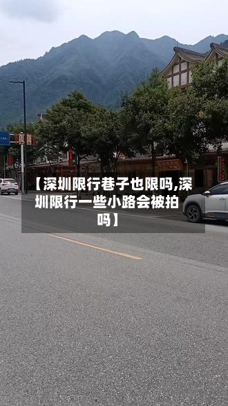【深圳限行巷子也限吗,深圳限行一些小路会被拍吗】-第2张图片