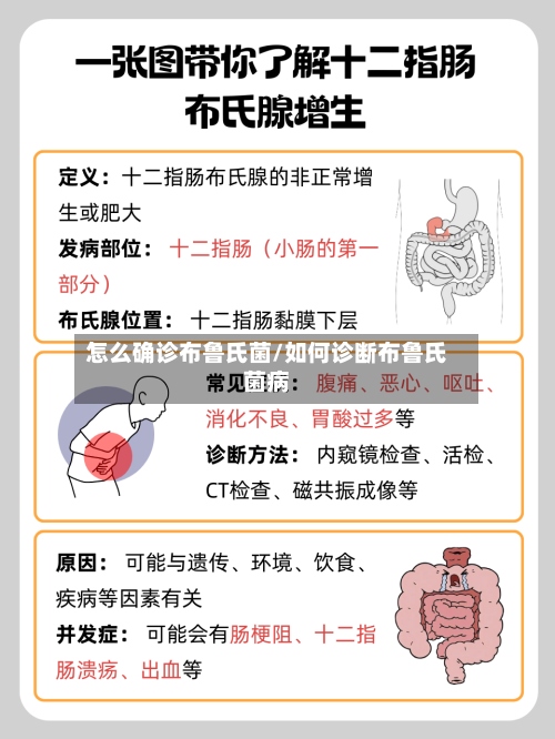 怎么确诊布鲁氏菌/如何诊断布鲁氏菌病-第3张图片