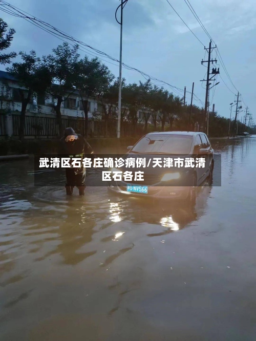 武清区石各庄确诊病例/天津市武清区石各庄-第3张图片