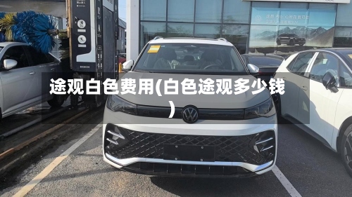 途观白色费用(白色途观多少钱)-第2张图片