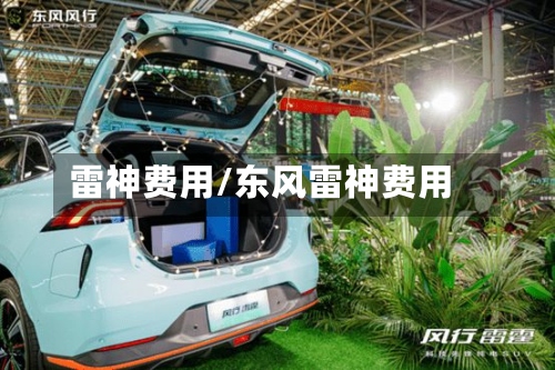 雷神费用/东风雷神费用-第3张图片