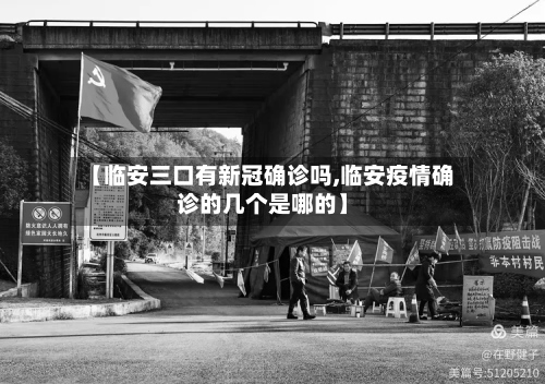 【临安三口有新冠确诊吗,临安疫情确诊的几个是哪的】-第2张图片