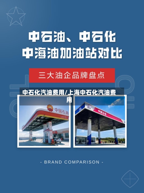 中石化汽油费用/上海中石化汽油费用