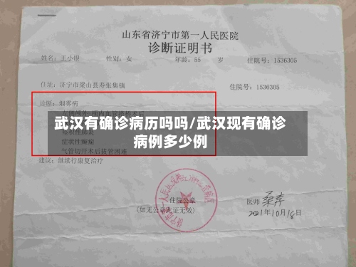 武汉有确诊病历吗吗/武汉现有确诊病例多少例