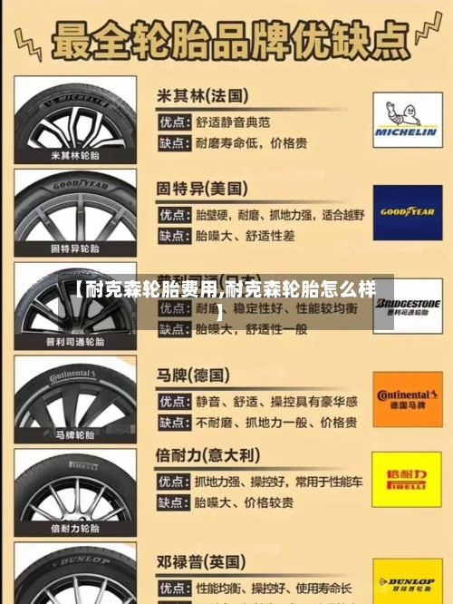 【耐克森轮胎费用,耐克森轮胎怎么样】-第2张图片