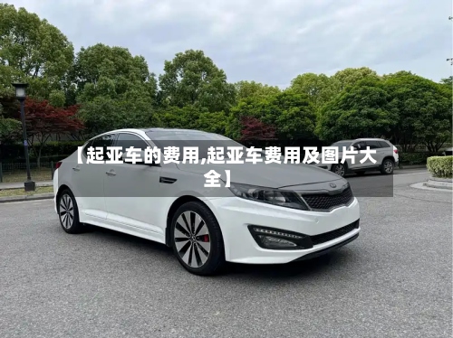 【起亚车的费用,起亚车费用及图片大全】-第3张图片