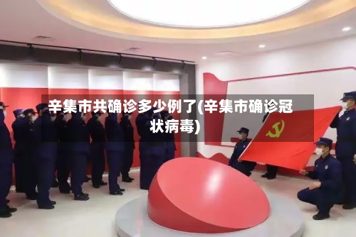 辛集市共确诊多少例了(辛集市确诊冠状病毒)-第2张图片