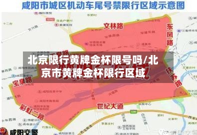 北京限行黄牌金杯限号吗/北京市黄牌金杯限行区域-第2张图片