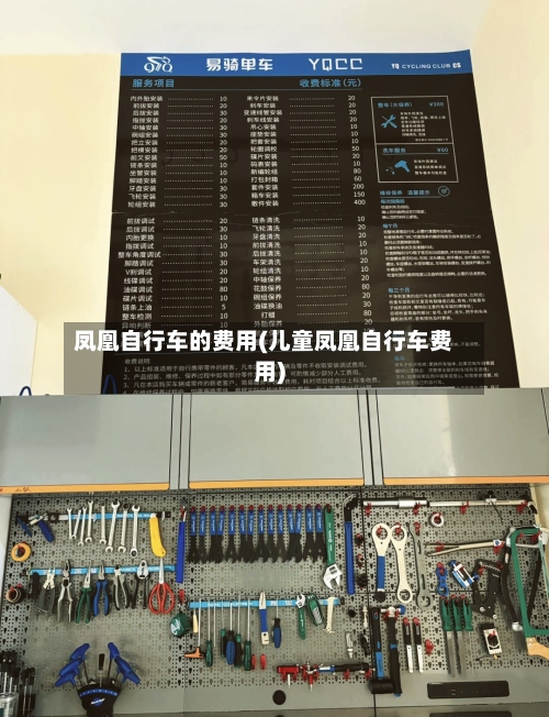 凤凰自行车的费用(儿童凤凰自行车费用)